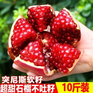 Alternative view of 四川会理石榴